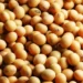 Abiove prevê aumento de 9,4% na produção de soja do Brasil em 2025