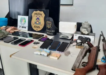 Ação da PC-TO gerou quase R$ 100 mil reais em prejuízos ao crime organizado. - Foto: DICOM SSP TO file_download