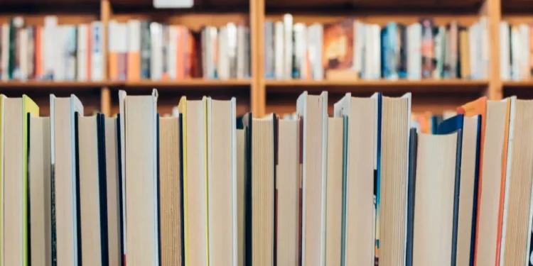 Conheça os 15 escritores preferidos entre os brasileiros