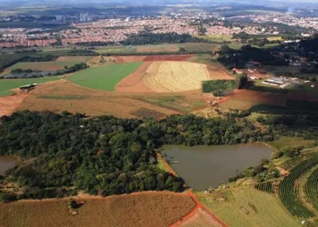 Área de 7 hectares da Fazenda Santa Elisa, o Instituto Agronômico de Campinas (IAC) — Foto: Divulgação IAC