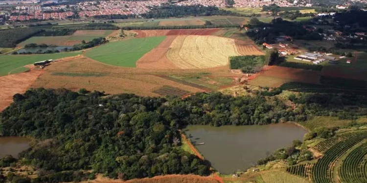 IAC emplaca abaixo-assinado contra venda da Fazenda Santa Elisa