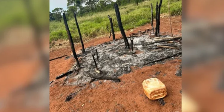 Caso aconteceu na aldeia Guassuty, em Aral Moreira, a 372 quilômetros de Campo Grande (MS) • Polícia Civil do Mato Grosso do Sul