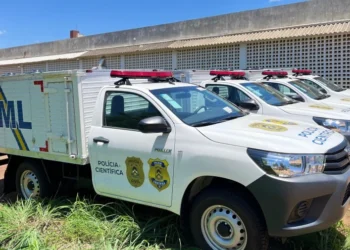 Homem foi morto em 19 de outubro de 2024, no Assentamento Prata - Foto: Divulgação SSP / Governo do Tocantins file_download