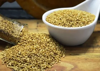 Restauração da floresta ajuda a prevenir quebras de safra — Foto: Fundação Solidaridad