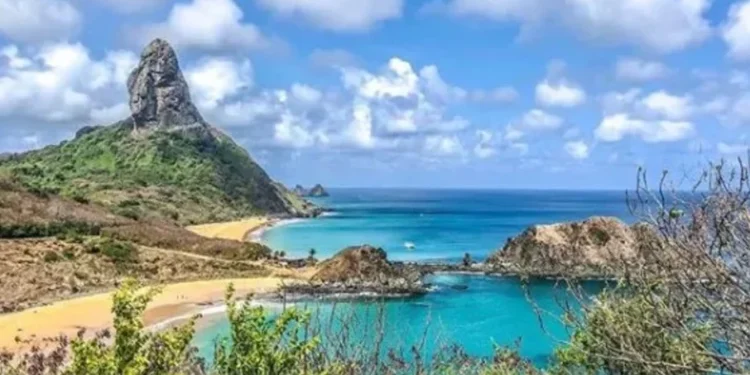 Após turista ser mordida por tubarão, Fernando de Noronha terá fiscalização reforçada