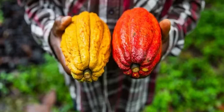 Globo Rural realiza fórum gratuito para agricultura familiar em Salvador