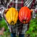 Globo Rural realiza fórum gratuito para agricultura familiar em Salvador
