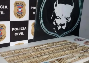 A jovem, que não teve a identidade revelada, era investigada em três operações da Polícia Civil contra o tráfico de drogas e organização criminosa em Mato Grosso. • Divulgação/ Polícia Civil de Mato Grosso