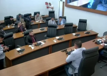 Votação na Câmara de Vereadores de Palmas — Foto: Reprodução/Câmara de Vereadores de Palmas