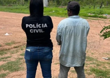 Homem foi preso em cumprimento a mandado de prisão preventiva oriundo do Distrito Federal. - Foto: DICOM SSP TO file_download