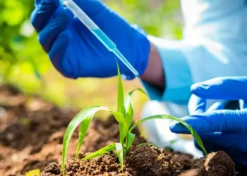 Proposta para bioinsumos deve ser incluída na pauta do plenário para votação dos senadores já na semana que vem — Foto: CrofpLife/Divulgação