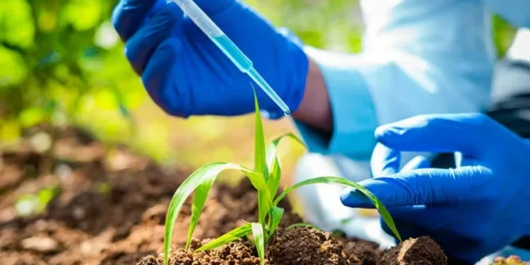 Projeto que regulamenta bioinsumos será enviado ao Senado nesta semana