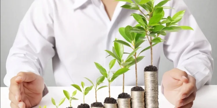 Quanto rende investir R$ 67 milhões na poupança, Tesouro Direto ou CDB