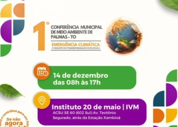 Crédito: Divulgação/Prefeitura de Palmas