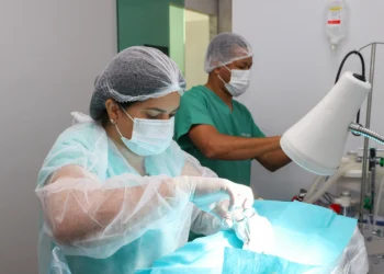 Castrações da agenda de janeiro serão feitas em duas clínicas credenciadas