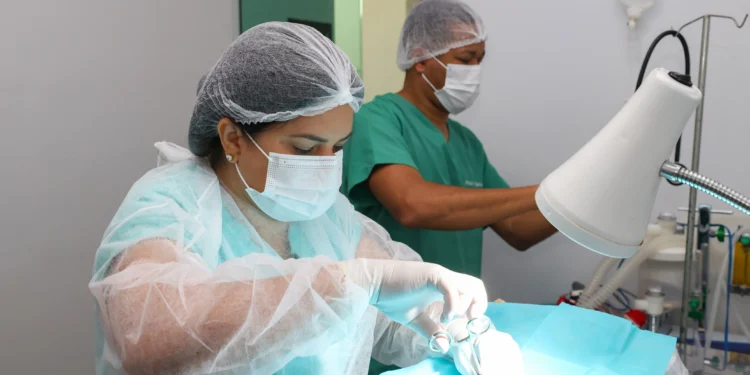 Agendamento de castração para mês de janeiro começa no dia 26 de dezembro