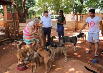 A campanha beneficiou seis instituições e 22 protetores independentes.