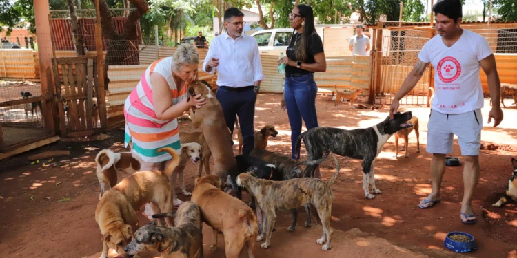 A campanha beneficiou seis instituições e 22 protetores independentes.