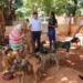 Governo do Tocantins realiza entrega de 1,5 tonelada de ração arrecadada na campanha NatAU MiAU