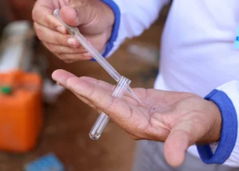 crédito foto: Luciana Pires/Secom Palmas