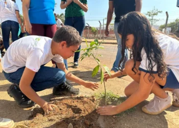 crédito foto: Divulgação