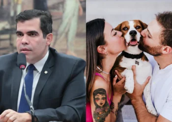 Foto: Montagem / Ascom