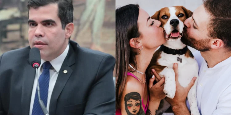 Guarda compartilhada de pets em divórcios avança com aprovação do relatório de Ayres