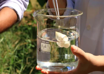 Investimento em pesquisa científica pelo Governo do Tocantins consolida ecossistema de inovação no estado - Crédito: Nonato Silva/Governo do Tocantins