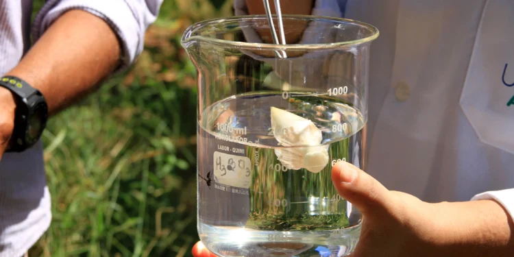 Com investimento de mais de R$ 24 milhões ao longo do ano, Governo do Tocantins impulsiona avanço da Ciência, Tecnologia e Inovação no estado