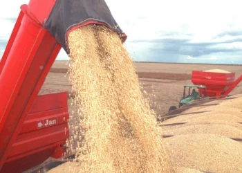 PIB do Tocantins é impulsionado pelo setor do agronegócio, com destaque para a soja - Crédito:Madson Maranhão/Governo do Tocantins