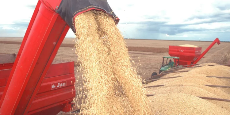 PIB do Tocantins é impulsionado pelo setor do agronegócio, com destaque para a soja - Crédito:Madson Maranhão/Governo do Tocantins