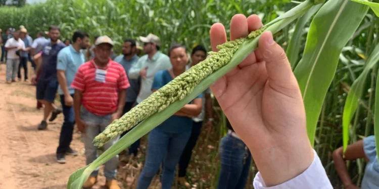 Governo do Tocantins investe em tecnologia e capacitações para impulsionar o desenvolvimento rural no estado