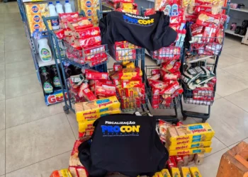 Procon Tocantins atendeu 531 denúncias de consumidores que se sentiram prejudicados - Crédito: Procon/Governo do Tocantins