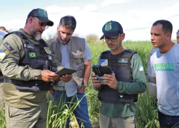 Semarh atuou no combate ao desmatamento e aos incêndios florestais, enfrentamento das mudanças do clima e geração de créditos de carbono - Crédito: Washington Luiz/Governo do Tocantins