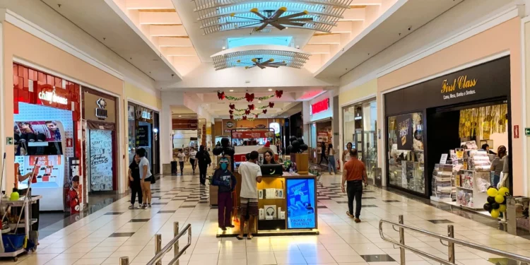 Governo do Tocantins celebra crescimento de 13% no volume de Serviços em outubro de 2024, segundo IBGE