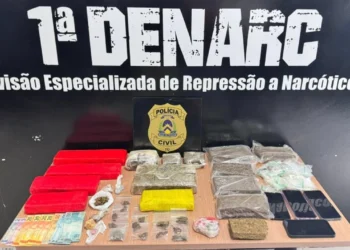 Em relação às apreensões de drogas, a 1ª Denarc registrou um aumento de aproximadamente 49% em 2024 - Divulgação PCTO