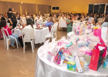 A campanha Todas Fortes pela Dignidade Feminina reflete a união de diversas secretarias e órgãos da administração pública estadual - Carlessandro Souza/Governo do Tocantins