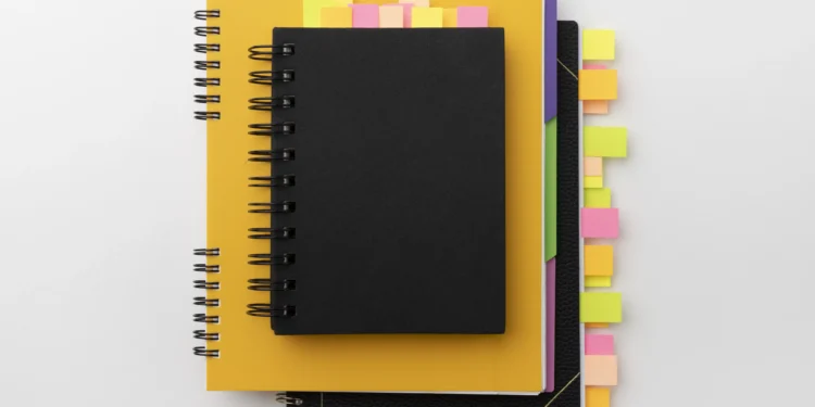 Sebrae dá dicas para começar 2025 com o pé direito e sem dívidas