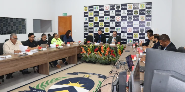 Conselho de Segurança Pública do Tocantins realiza última reunião ordinária de 2024