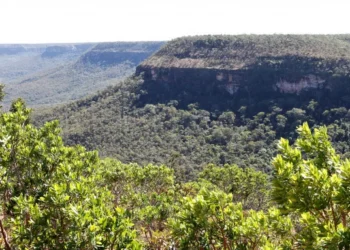 Os dados foram apresentados em reunião do Grupo de Trabalho Contra o Desmatamento Ilegal do Tocantins na sala de reuniões do CIGMA