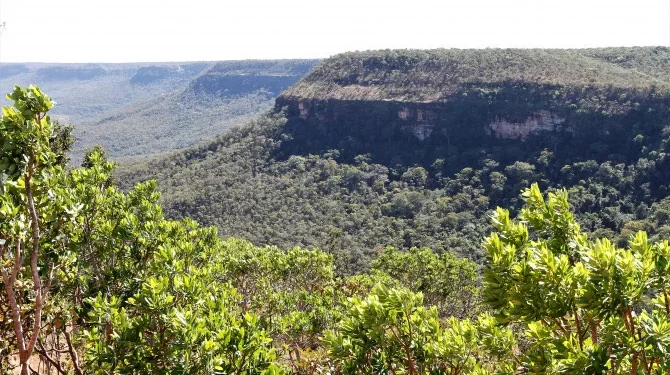 Desmatamento não autorizado tem queda de 28% este ano no estado, em relação ao período anterior, após implantação de Grupo de Trabalho, pelo Governo do Tocantins 