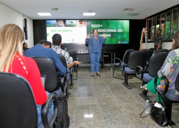 Formação abordará temas essenciais para servidores públicos e técnicos que atuarão na execução das ações e estratégias do Programa REDD+/Marcel de Paula/Governo do Tocantins