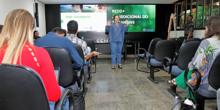 Governo do Tocantins por meio de consultoria especializada realiza workshop de Formação em Mudança do Clima e Mercados de Carbono