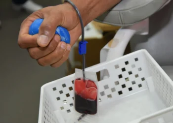 Em todo o Estado, atualmente são 60.674 doadores cadastrados no Registro Brasileiro de Doadores Voluntários de Medula Óssea