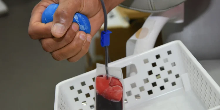 Em todo o Estado, atualmente são 60.674 doadores cadastrados no Registro Brasileiro de Doadores Voluntários de Medula Óssea