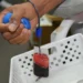 Governo do Tocantins celebra alcance da meta de doadores de medula óssea em 2024