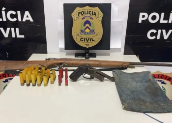 Armas de fogo e munições são apreendidas pela Polícia Civil em Tupirama