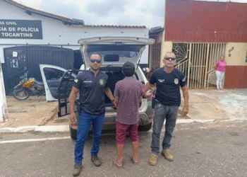 Homem foi preso após ação de policiais civis da 14ª Delegacia de Axixiá do Tocantins - Crédito: DICOM SSP TO
