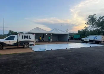 Estrutura montada pelo IML para identificação de mortos na queda da ponte — Foto: PC-TO/Divulgação