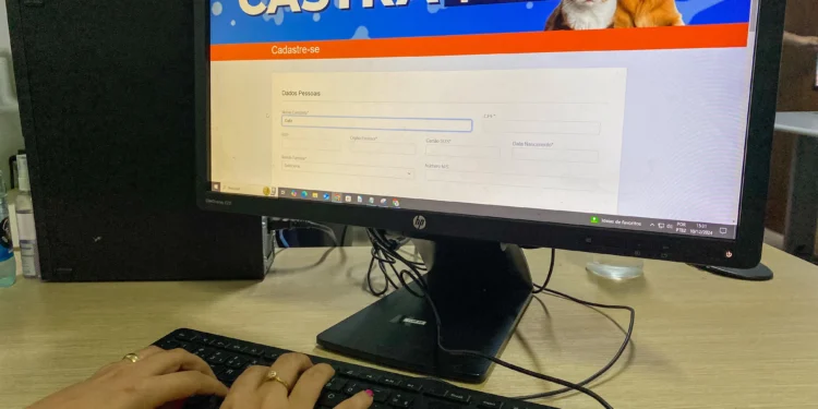 Saiba como realizar o cadastro para agendar a castração de cães e gatos em Palmas